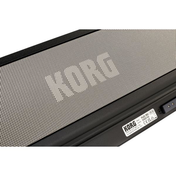 Акустична система KORG PaAS MK2