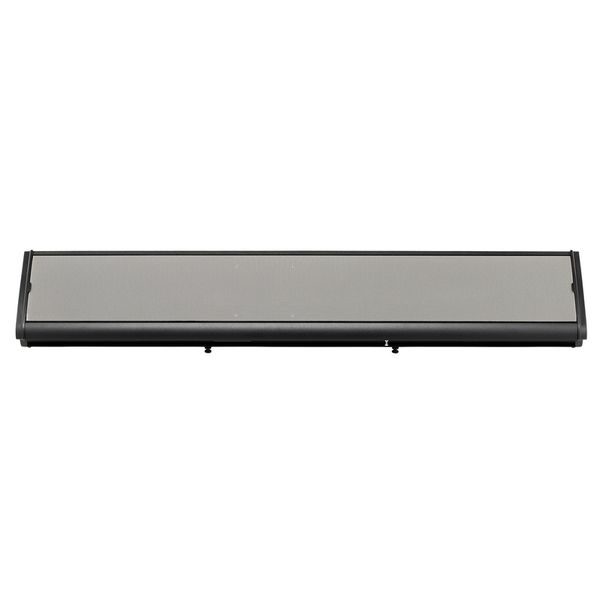 Акустична система KORG PaAS MK2