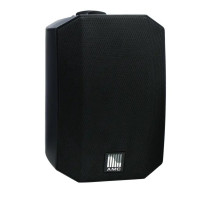 Інсталяційна акустика AMC VIVA 5 Black
