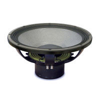 Гучномовець EIGHTEEN SOUND 18NLW9000