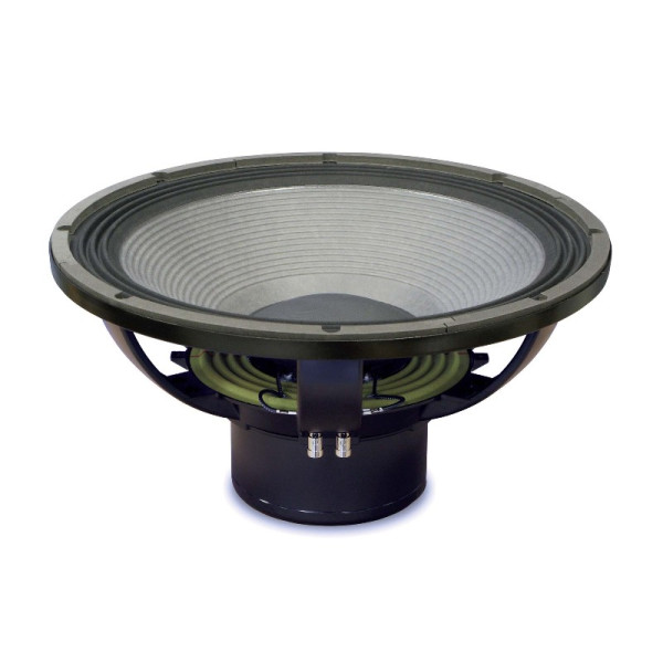 Гучномовець EIGHTEEN SOUND 18NLW9000
