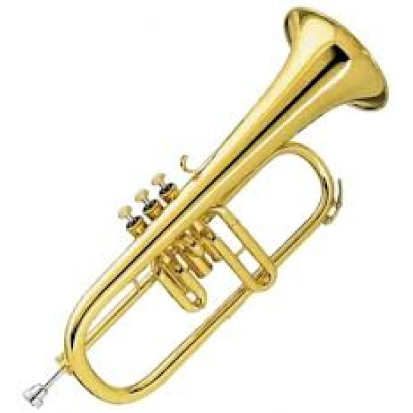 Флюгельгорн AMATI AFH 201-0