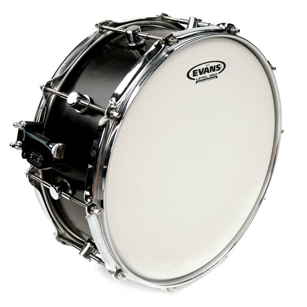 Пластик EVANS B14G14-B 14" G14 COATED