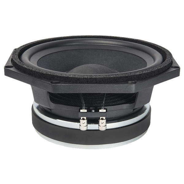 Гучномовець FaitalPRO 8RS250