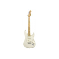 Електрогітара FENDER PLAYER STRATOCASTER MN PWT