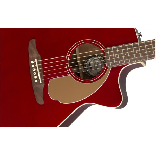 Електроакустична гітара FENDER NEWPORTER PLAYER CAR