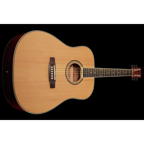 Акустична гітара HARLEY BENTON D-120 NT