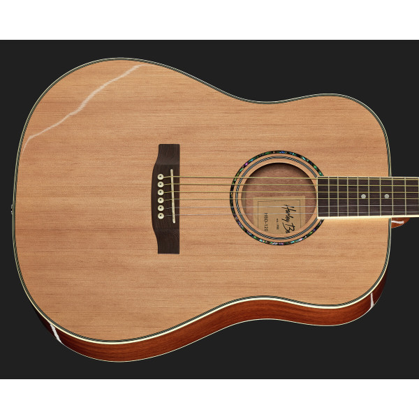 Акустична гітара HARLEY BENTON D-120 NT