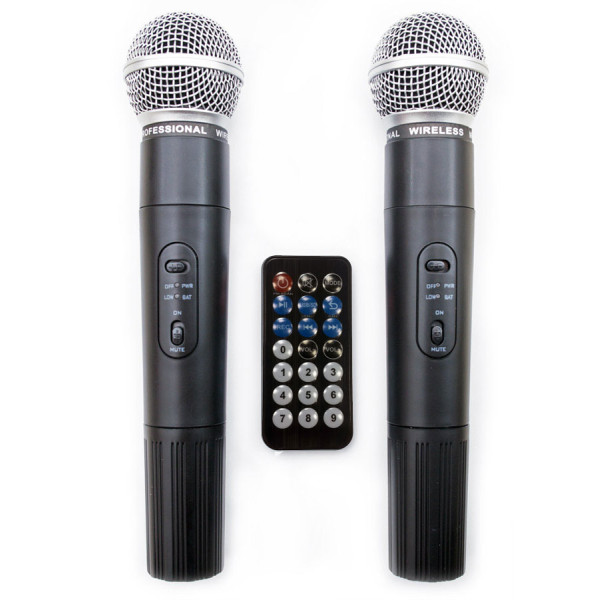 Автономна акустична система HL AUDIO USK12A BT/USB