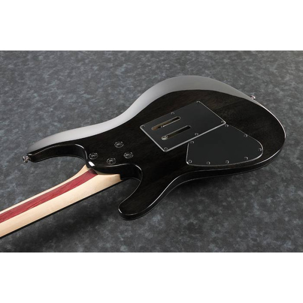 Електрогітара IBANEZ JIVA10 DSB