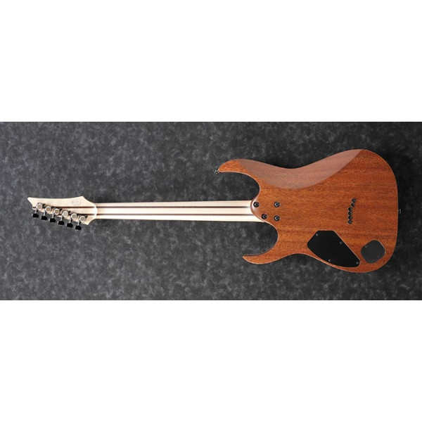 Електрогітара IBANEZ RGR5221 TFR