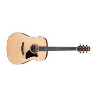Акустична гітара IBANEZ AAD50 LG