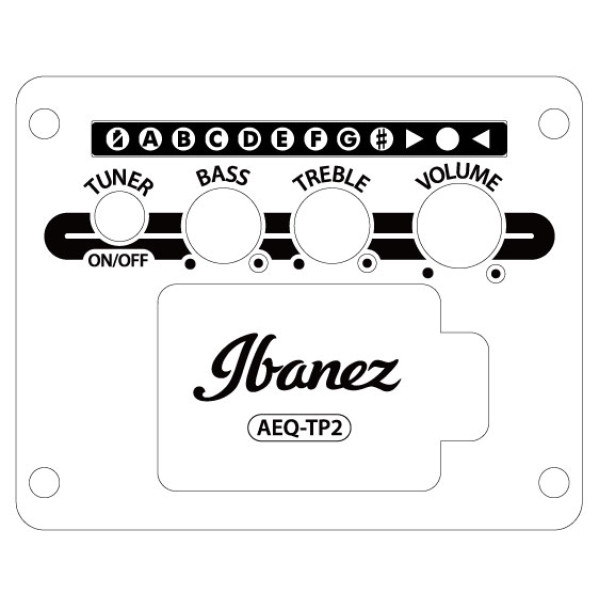 Електроакустична гітара IBANEZ AAD50CE LG
