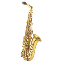 Альт саксофон J.MICHAEL AL-780 Alto Saxophone