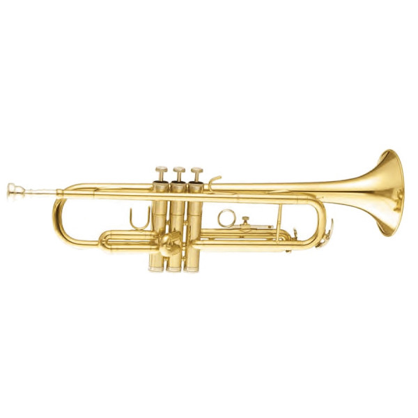 Труба MAXTONE TTC30L (TTC1C)