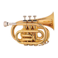 Труба MAXTONE TT MINI 53L