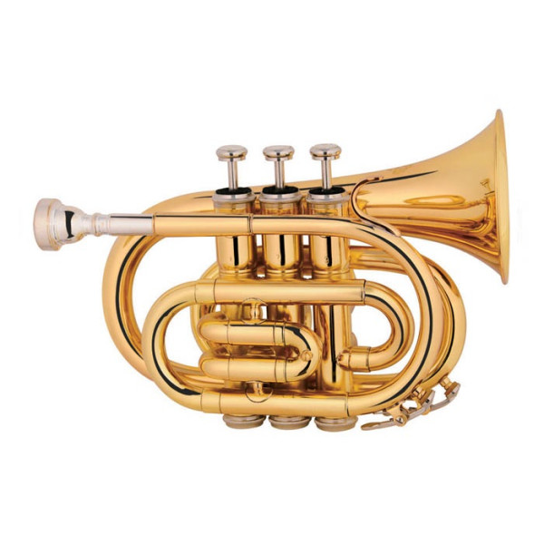 Труба MAXTONE TT MINI 53L