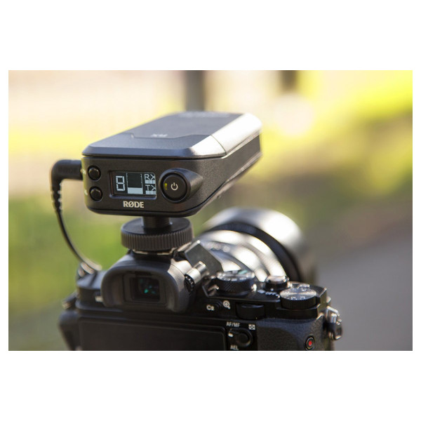 Радіосистема для відео RODE Link Newsshooter Kit