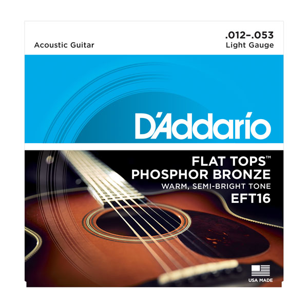 Комплект струн для акустичної гітари D'ADDARIO EFT16 FLAT TOPS LIGHT 12-53
