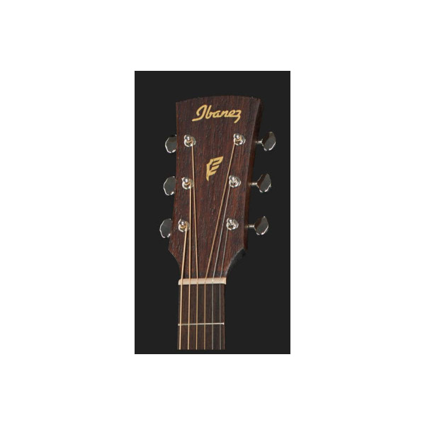 Акустична гітара IBANEZ PC12MH OPN
