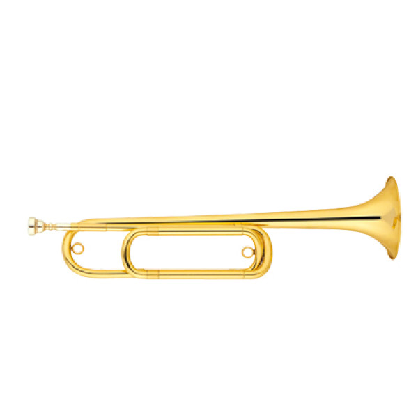 Ріжок MAXTONE TBC53/L5