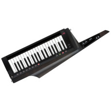 Кейтар KORG RK-100S 2 Black