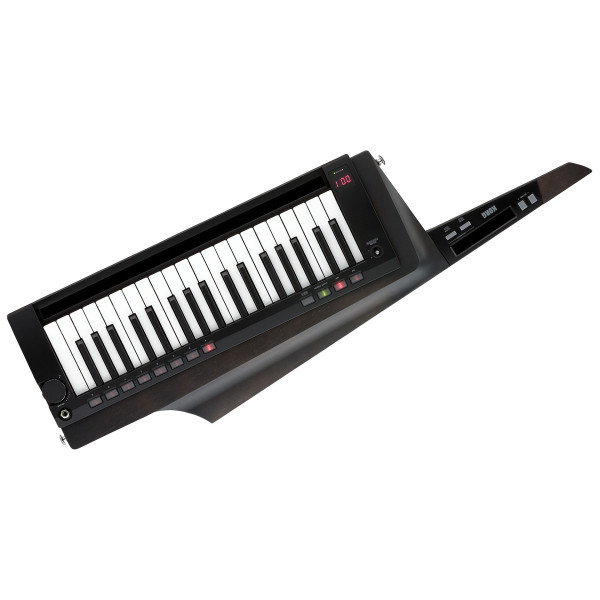 Кейтар KORG RK-100S 2 Black