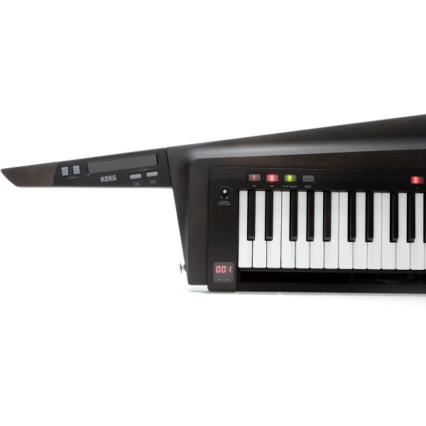Кейтар KORG RK-100S 2 Black