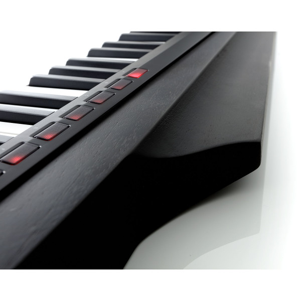 Кейтар KORG RK-100S 2 Black