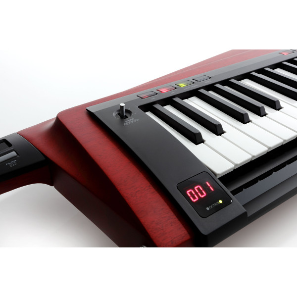 Кейтар KORG RK-100S 2 Red