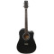 Акустична гітара PARKSONS JB4111C (Black)