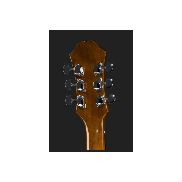 Акустична гітара EPIPHONE DR-100 NT