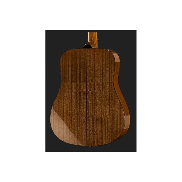 Акустична гітара EPIPHONE DR-100 NT