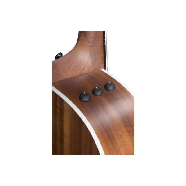 Електроакустична гітара TAYLOR 214CE Plus