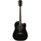 Електроакустична гітара CORT AD880CE (Black)