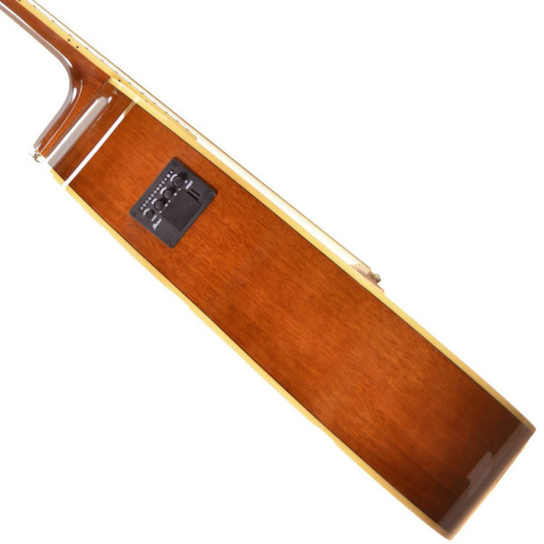 Електроакустична гітара IBANEZ PF15ECE NT
