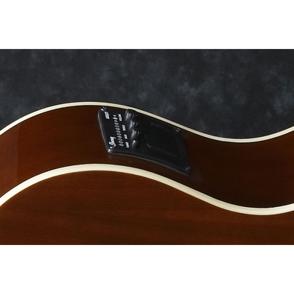 Електроакустична гітара IBANEZ PF15ECE NT