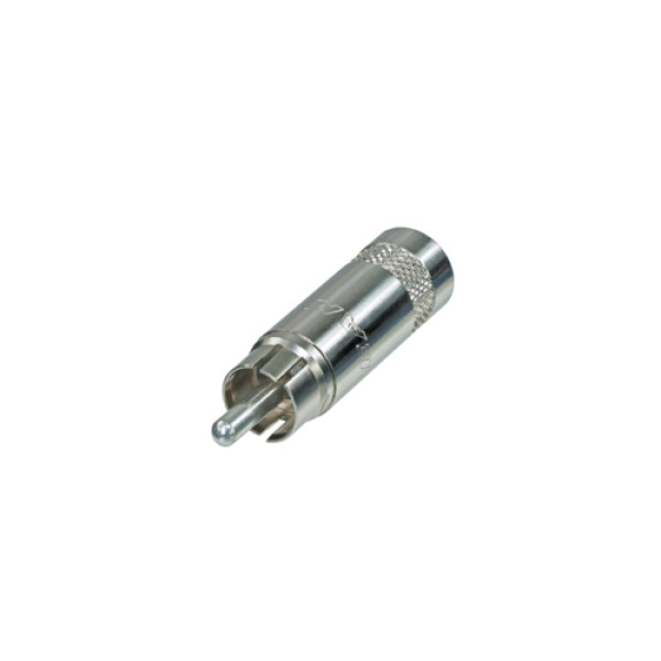 Тюльпан тато REAN NYS352