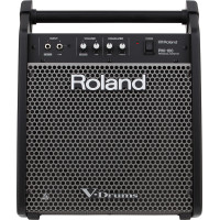 Активний монітор ROLAND PM100