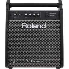 Активний монітор ROLAND PM100
