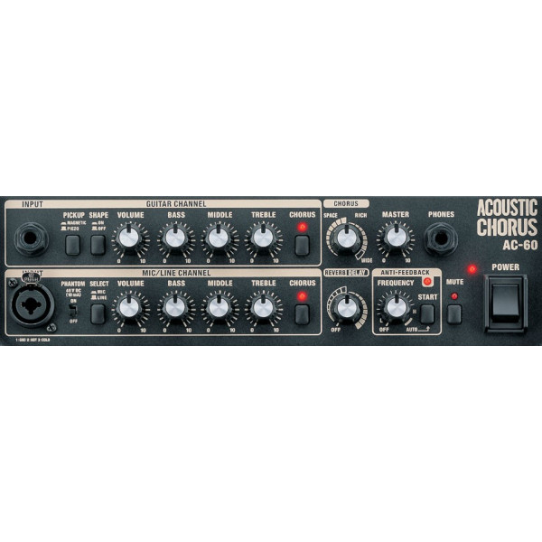 Комбопідсилювач для акустичної гітари ROLAND AC60