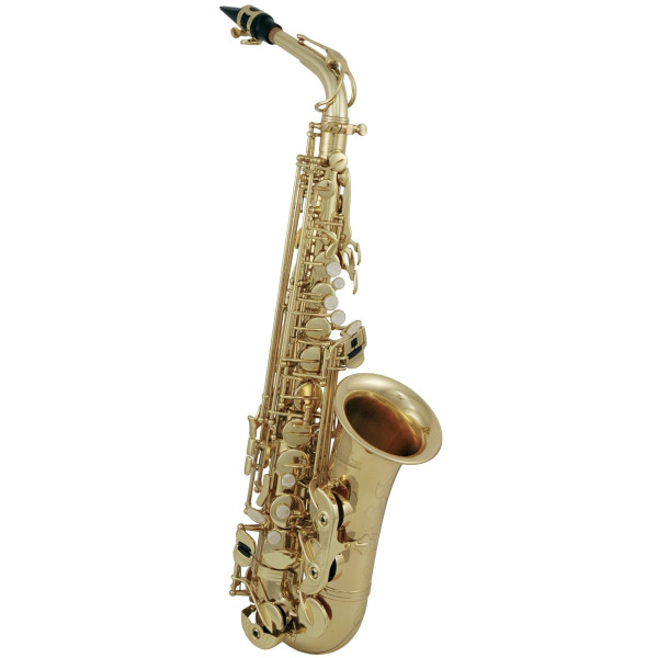 Альт саксофон ROY BENSON AS-302