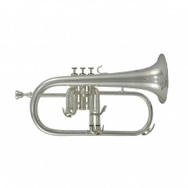 Флюгельгорн ROY BENSON FH-302S