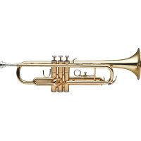 Труба STAGG WS-TR215