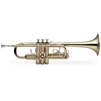 Труба STAGG WS-TR255S