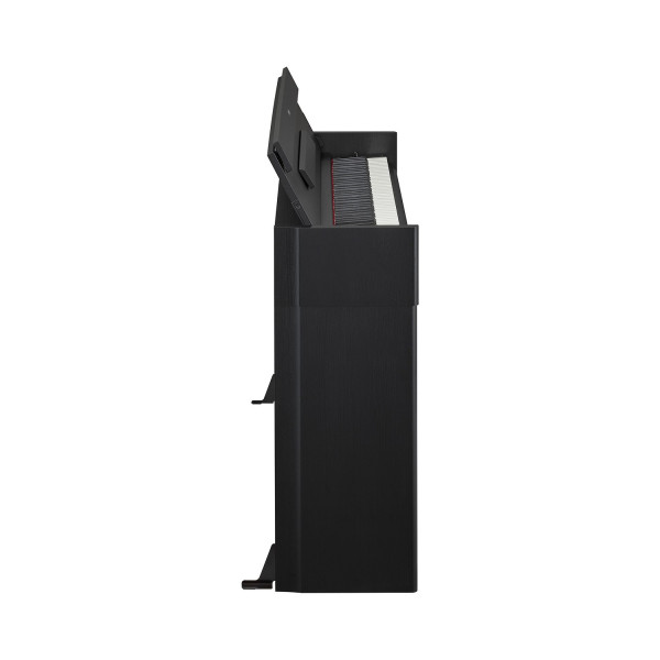 Цифрове піаніно YAMAHA ARIUS YDP-S55 (Black)