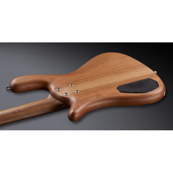 Бас-гітара WARWICK Teambuilt Pro Series Streamer LX, 5-String (Natural Transparent Satin)