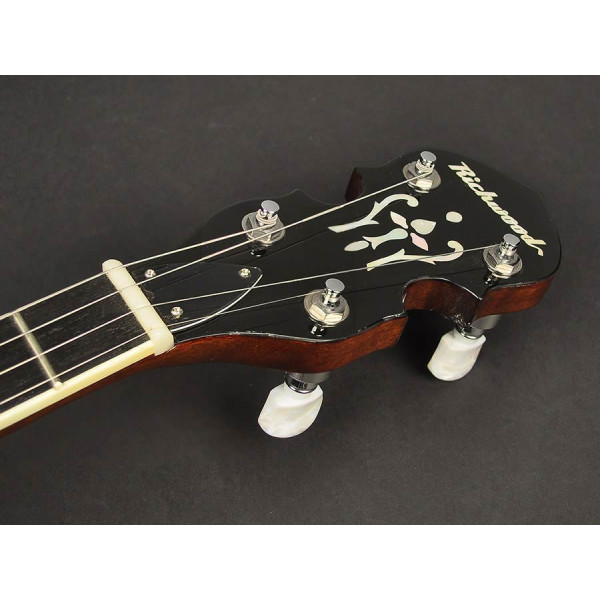 Банджо RICHWOOD RMB-604-SS
