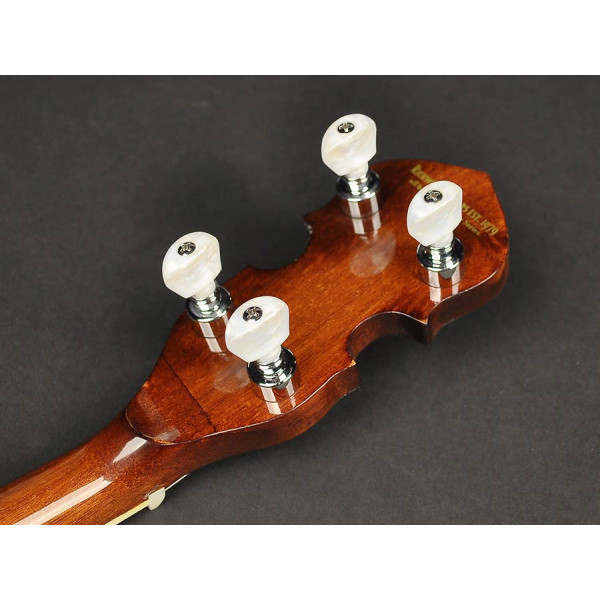 Банджо RICHWOOD RMB-604-SS