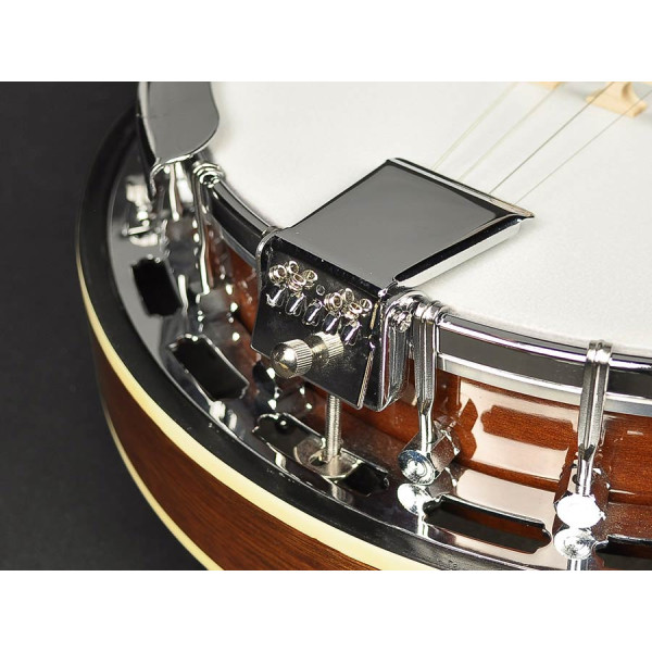 Банджо RICHWOOD RMB-604-SS